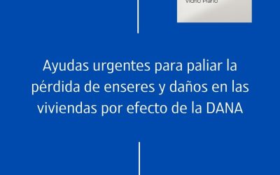 Ayudas a las personas físicas que hayan sufrido la pérdida de bienes por DANA